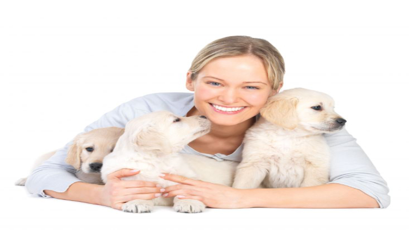 Find a Good Animal Hospital for You and Your Pet near Gaithersburg