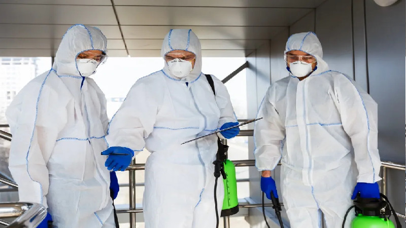 Why It Is So Important to Get Rid of Mold That Is Found in Your Co Home