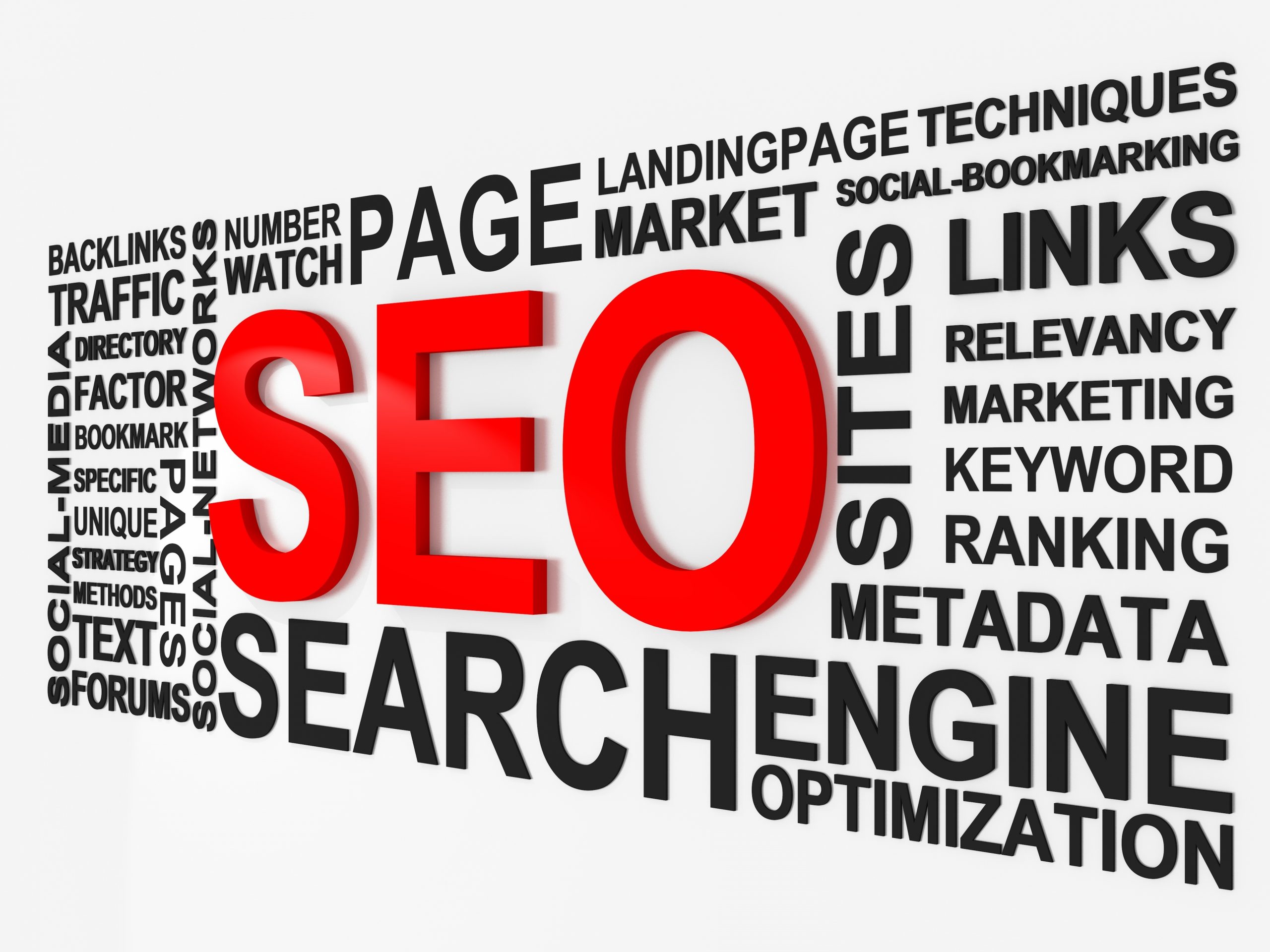 What a Search Engine Optimization Company in Albany, NY Will Do For Your Brand