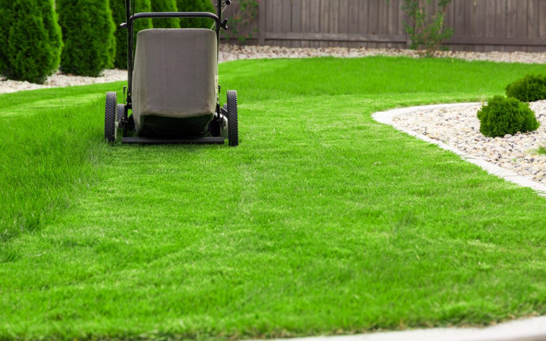 Transform Your Backyard Experience with Professional Lawn Mowing Minneapolis Residents Trust