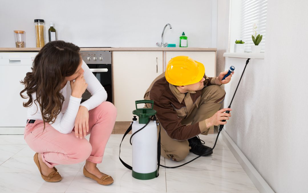 Protect Your Home Investment With Pest Inspection Somerset County NJ Homeowners Trust