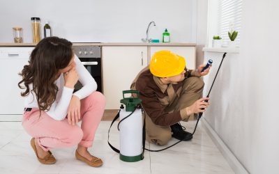 Protect Your Home Investment With Pest Inspection Somerset County NJ Homeowners Trust