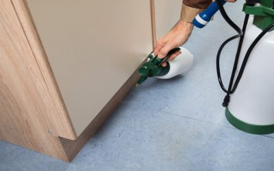 Reduce Workplace Disruptions By Choosing Commercial Pest Control Celina TX Services