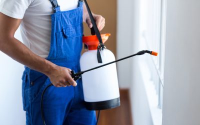 Benefit from Safe Pest Control by Professional Exterminators St. Paul MN Homeowners Prefer