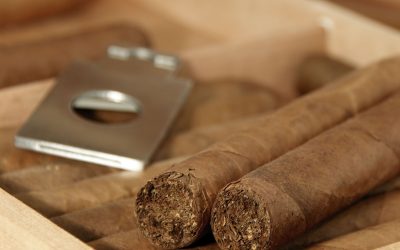 Find exclusive cigar selections with an online tobacconist in UK for discerning smokers