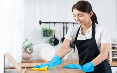 Get Consistent Results For Your Household With Expert Home Cleaning Services In Folsom, CA