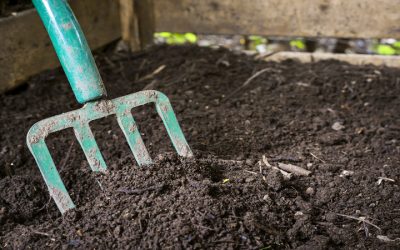Choosing the Right Topsoil Products Near Sussex, WI, for Thriving Gardens and Lawns
