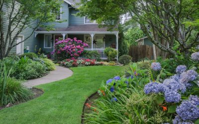 Create Beautiful Backyards Using Landscaping Services Shelby Township Residents Prefer