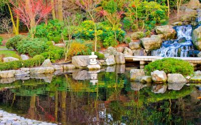 Landscaping Company Charlottesville Services That Create Relaxing Backyard Retreats