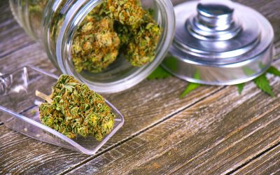 Experience Premium Choices at Recreational Dispensaries Near Steamboat Springs CO for Relaxation