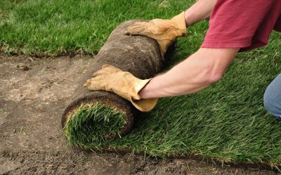 Achieve a Lush Yard Using Sod Pallets Atlanta Area Residents Rely on Year-Round