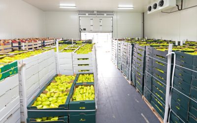 Simplify Your Space Using a Professional Decluttering Service Edina, MN Homeowners Love