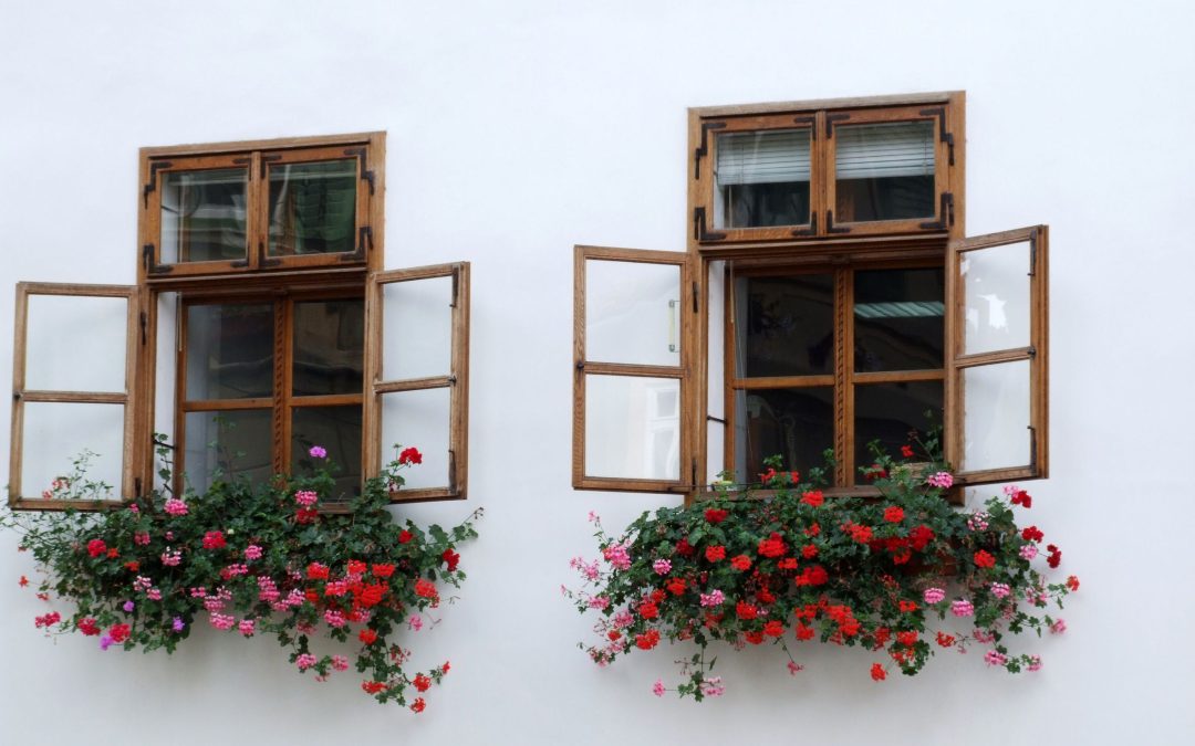 Why Homeowners Choose Custom Wood Windows For Superior Insulation And Design