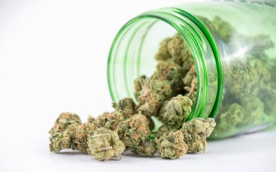 Key Benefits Americans are Finding with THCA Dabs for a Cleaner Cannabis Experience