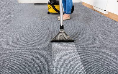 What Defines Reliable Results in Professional Carpet Cleaning Near Madison, WI