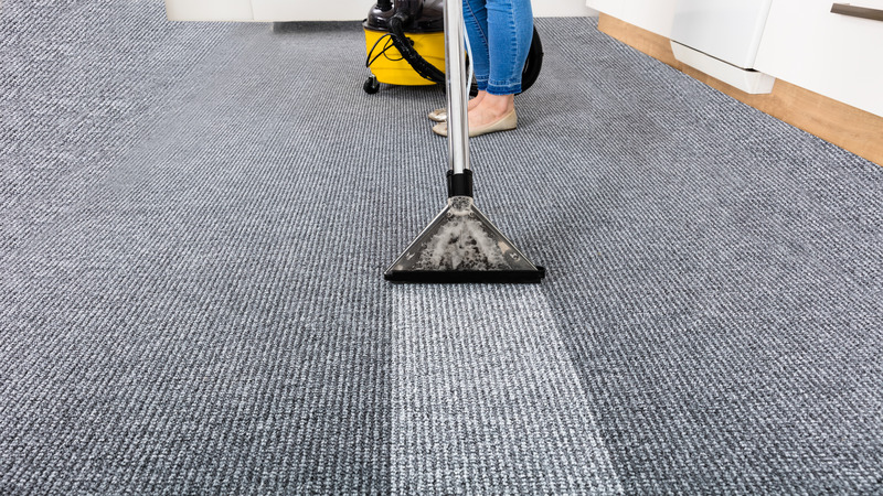 What Defines Reliable Results in Professional Carpet Cleaning Near Madison, WI