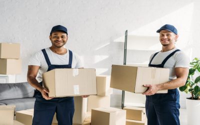 Packing and Transport Solutions from Removals Services Brighton for Smooth Transitions