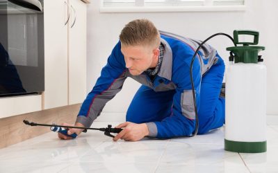 Homeowners Trust Pest Control Services Cedar Grove NJ for Safe Family Environments