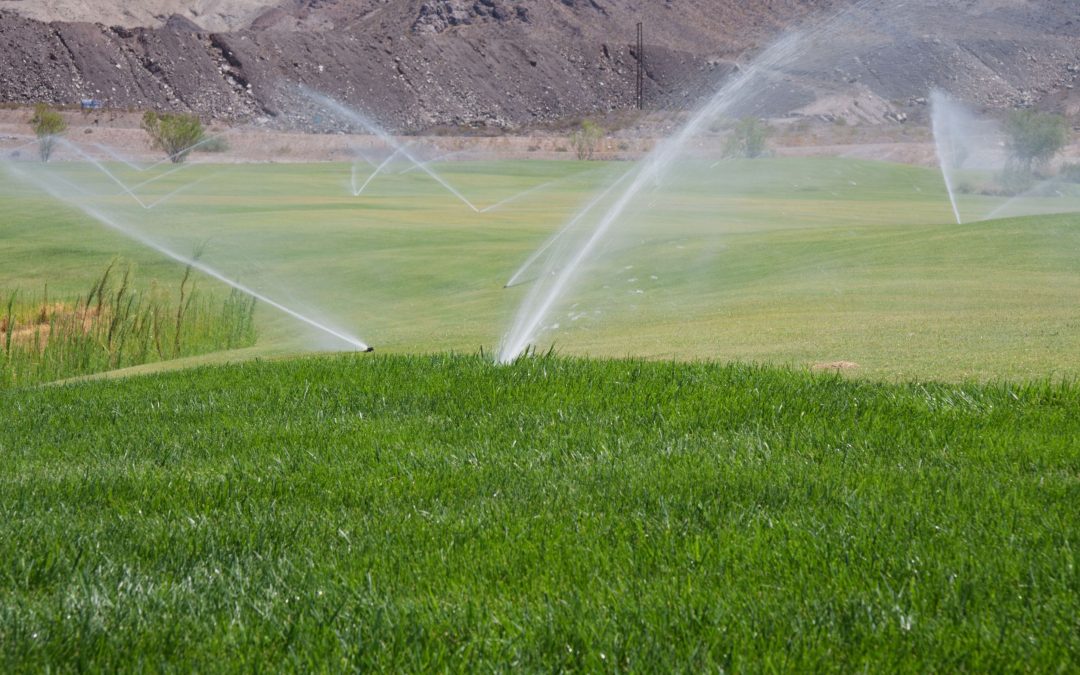 Prevent Water Waste and Save Money With Reliable Irrigation System Repair Johns Creek GA