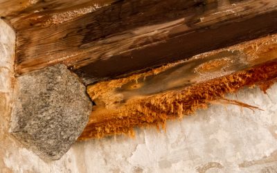 Swift Recovery Solutions with Emergency Water Damage Restoration in Joliet, IL Homes
