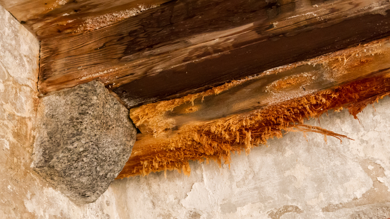 Swift Recovery Solutions with Emergency Water Damage Restoration in Joliet, IL Homes